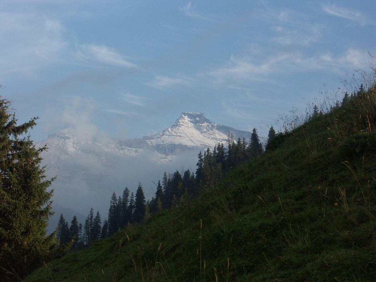 Pension Sonne Adelboden Eksteriør billede